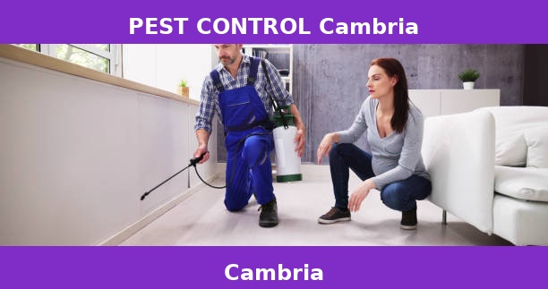 PEST CONTROL Cambria